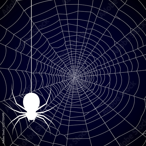 buy halloween spider web