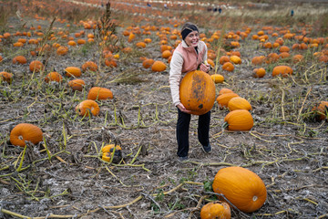 adult woman (30s) attempts to pick up and carry a giant pumpkin from a pumpkin patch. smiling and la