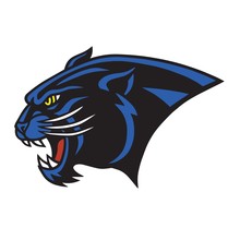 Jaguar Logo Vector Mascot