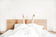 © Floral Deco - Hand's of young woman with coffee mug in bed with white linens. Minimal happy morning concept.