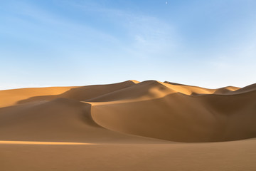 Wall Mural - beautiful desert and blue sky