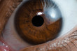 Eye close up macro color  iris