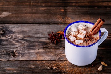 Wall Mural - Hot cocoa drink with cinnamon and marshmallows.