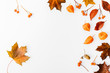© nerudol - Autumn flat lay background on white