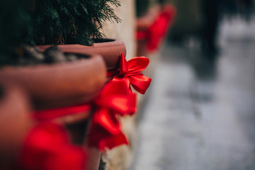 Wall Mural - Stylish christmas decorations, green christmas trees with red bows and ornaments in european city street. Festive creative decor in city center, winter holidays. Christmas trees in pots