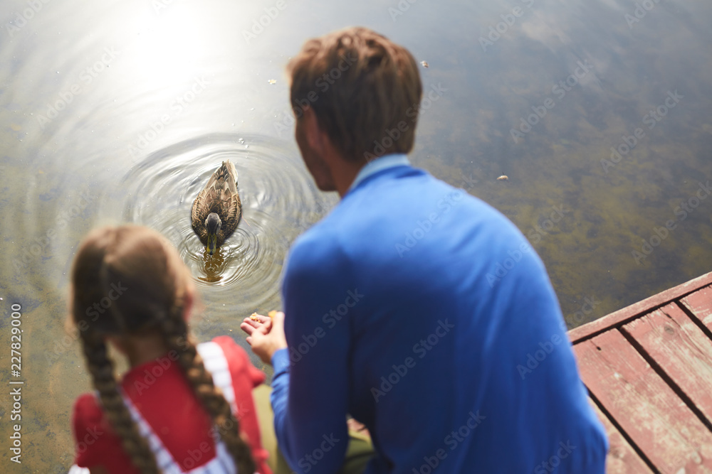 young girl holds cock Dick floating to young man and little girl giving some bread crumbs while sitting by water Stock Photo | Adobe Stock