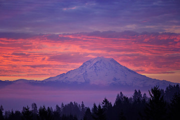 Wall Mural - Mt Rainier in Washington State all lit up with the morning sunrise