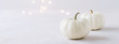 Weiße Kürbisse - elegant und minimalistisch auf neutralem hellen Hintergrund mit kleinem Lichter Bokeh und Textfreiraum im Banner Format, passend zur goldenen Herbstzeit und Weihnachten