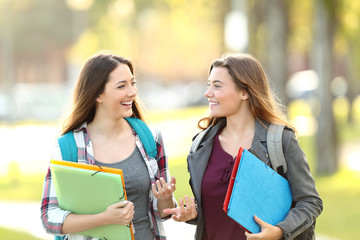 Wall Mural - Two students talking walking in the street