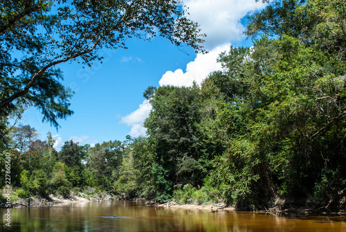 The Wilderness Of The Deep South This River That Winds Through The Forest Areas Of Mississippi Is A Peaceful Place For People To Fish And Animals To Live Buy This Stock The Wilderness Of The Deep South This River That Winds Through The Forest Areas Of Mississippi Is A Peaceful Place For People To Fish And Animals To Live Buy This Stock