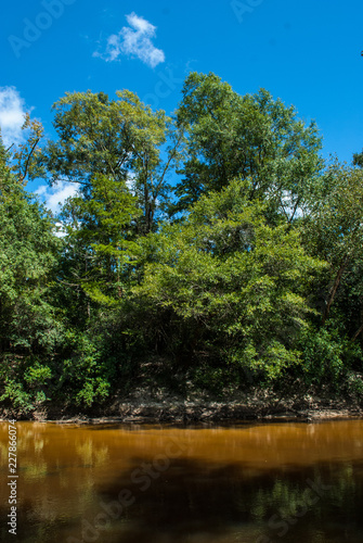 The Wilderness Of The Deep South This River That Winds Through The Forest Areas Of Mississippi Is A Peaceful Place For People To Fish And Animals To Live Buy This Stock The Wilderness Of The Deep South This River That Winds Through The Forest Areas Of Mississippi Is A Peaceful Place For People To Fish And Animals To Live Buy This Stock