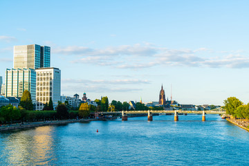 Wall Mural - Frankfurt am Main skyline