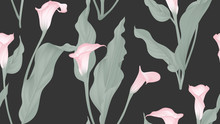 Floral Seamless Pattern, Pink Calla Lily Flowers And Leaves On Black Background, Pastel Vintage Theme