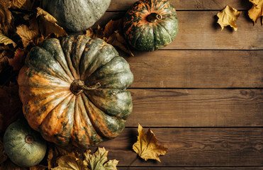 Wall Mural - pumpkins on a wooden background. autumn food background.