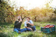 © Halfpoint - A senior man with adult son drinking cider in apple orchard in autumn.