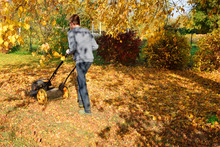 Teen Boy Mowing Lawn Grass And Yellow Fall Leaves In Yard With Lawnmower Decorative Plants On Background In Autumn Day. Children Helping In Seasonal Garden Work Concept.