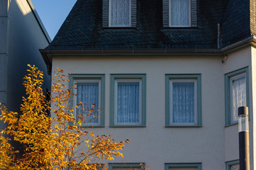 Wall Mural - autumn color tree and leaves on city building facades