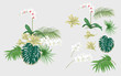 Set of elements for design with tropical plants