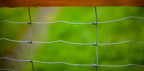 raindrop o fence
