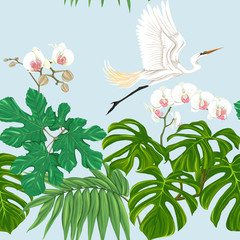 Plakat storczyk kwiat dżungla ogród raj