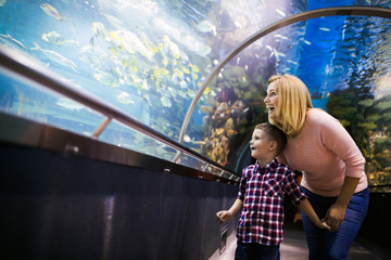 Wall Mural - Family watchig fishes at a aquarium
