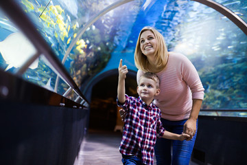 Wall Mural - Mother and son watching sea life in oceanarium