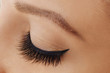 © Olesia - Female eye with extreme long false eyelashes and black liner. Eyelash extensions, make-up, cosmetics, beauty