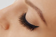 © Olesia - Female eye with extreme long false eyelashes and black liner. Eyelash extensions, make-up, cosmetics, beauty