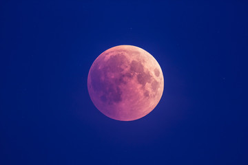 Wall Mural - super bloody moon, beginning of full eclipse phase against blue starry sky background