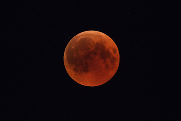 Wall Mural - super bloody moon, full eclipse phase against starry sky background