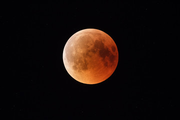 Wall Mural - full bloody moon eclispse on black sky background