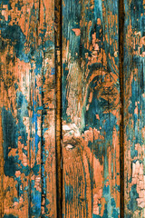 Vintage painted wooden background texture of wooden weathered rustic wall with peeling paint. Empty space for copy old wood texture. Cracked paint with lots of small cracks, abstract grunge texture