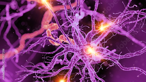 3d rendered medically accurate illustration of a nerve cell