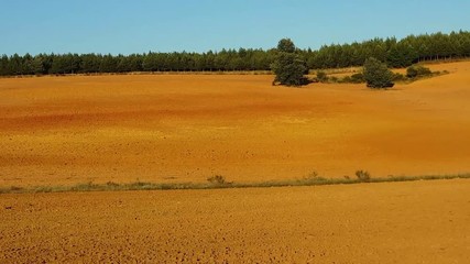 Poster - Terrenos agricolas en cuesta arados y preparados para el cultivo y coronados con una plantacion de pinos  

