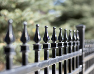 Wall Mural - Black iron fence closeup