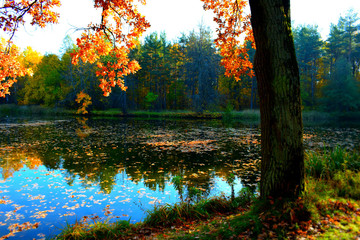 autumn in the park