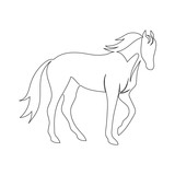 Fototapeta Konie - Black line horse on white background. Vector icon drawn by one continuous line
