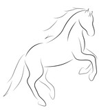 Fototapeta Konie - Black line horse on white background. Vector icon