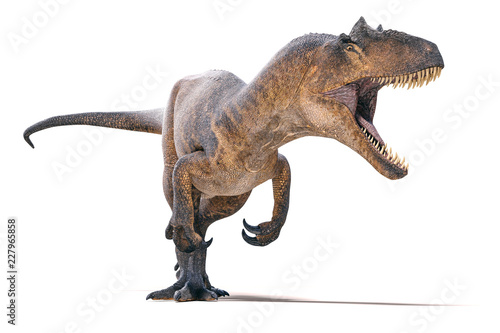 3d Allosaurus render on whi...