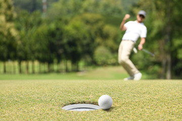 Poster - Man golfer cheering after a golf ball on a golf green