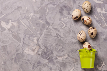 Poster - Spotted fresh quail eggs poured out of green metal bucket with handle on old broken worn gray cement floor with copy space. Top view