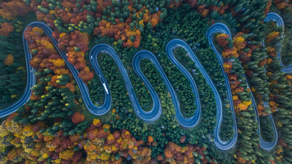 Sticker - Curved road trough the forest