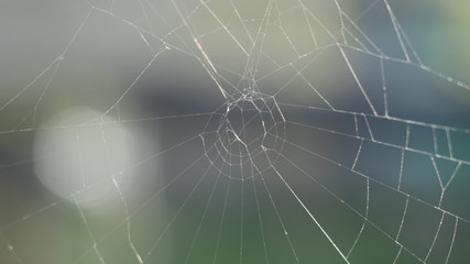 art of nature