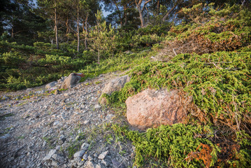 Stony seacoast of the Baltic sea at sunset. Hiumaa Island, Estonia