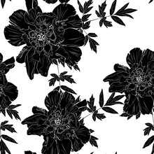 Wildflower Black White Line Peony Flower Seamless Pattern Isolated On White Background. Wild Flower For Background, Texture, Wrapper Pattern, Frame Or Border, Invitation Or Textile. Vintage Style. 