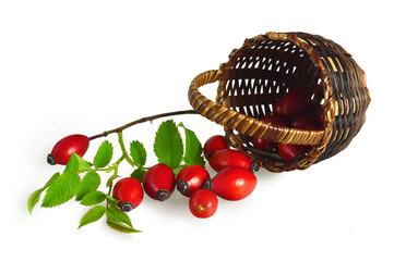 Canvas Print - Rose hips in the basket isolated on white background