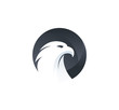 mighty eagle vector icon logo design inspiration