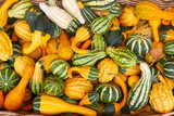 Fototapeta Sawanna - An all over colorful background of orange and green striped gourds