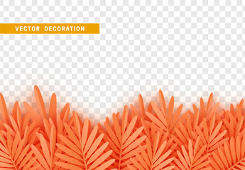 Wall Mural - grass, shape plant leaves border isolated with transparent background. vector illustration