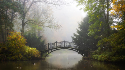 Poster - Scenic view of misty autumn landscape with beautiful old bridge in the garden with red maple foliage.
